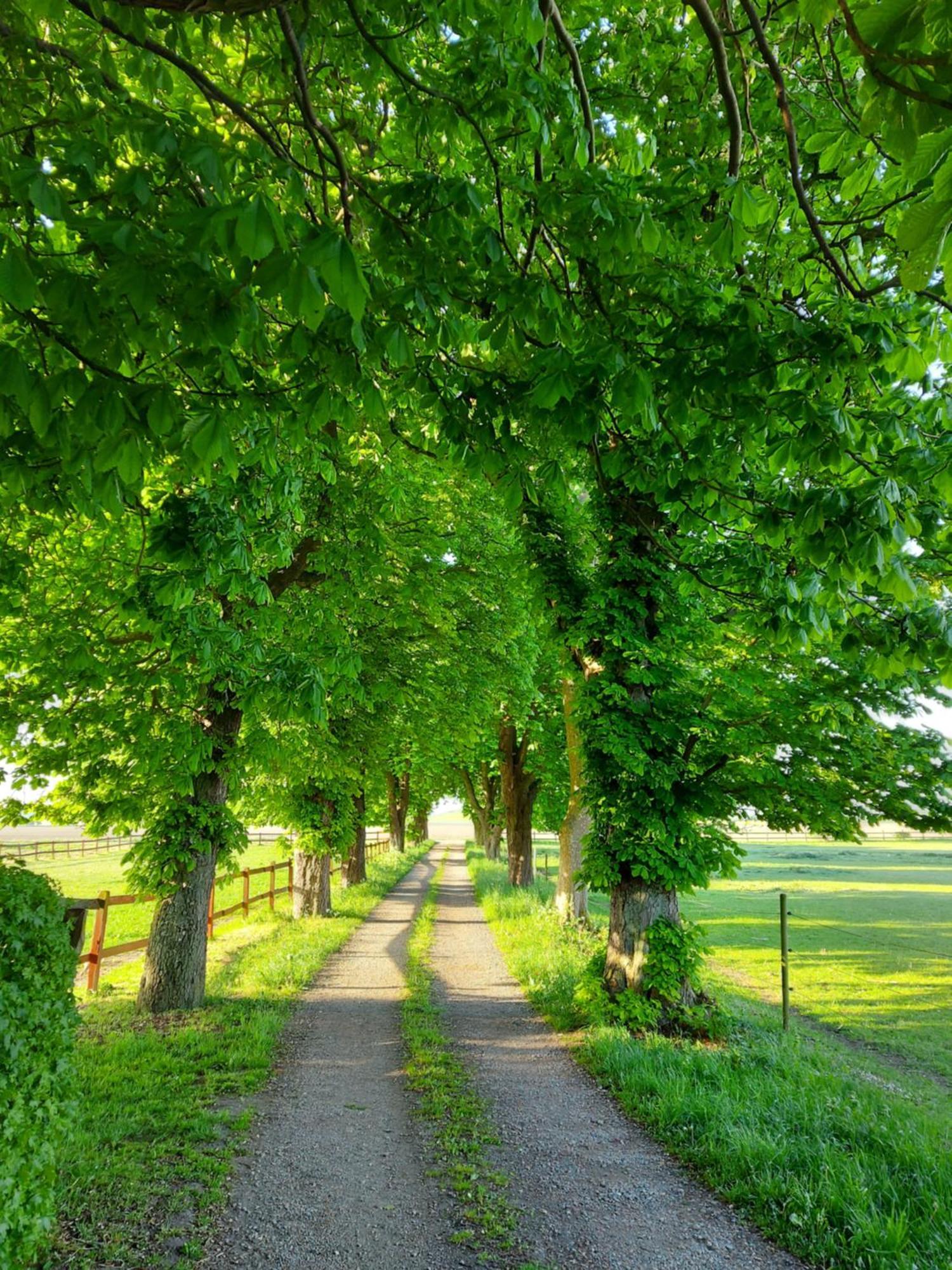 Lantligt Och Lugnt Boende Naera Natur Och Stad Svedala Exterior foto