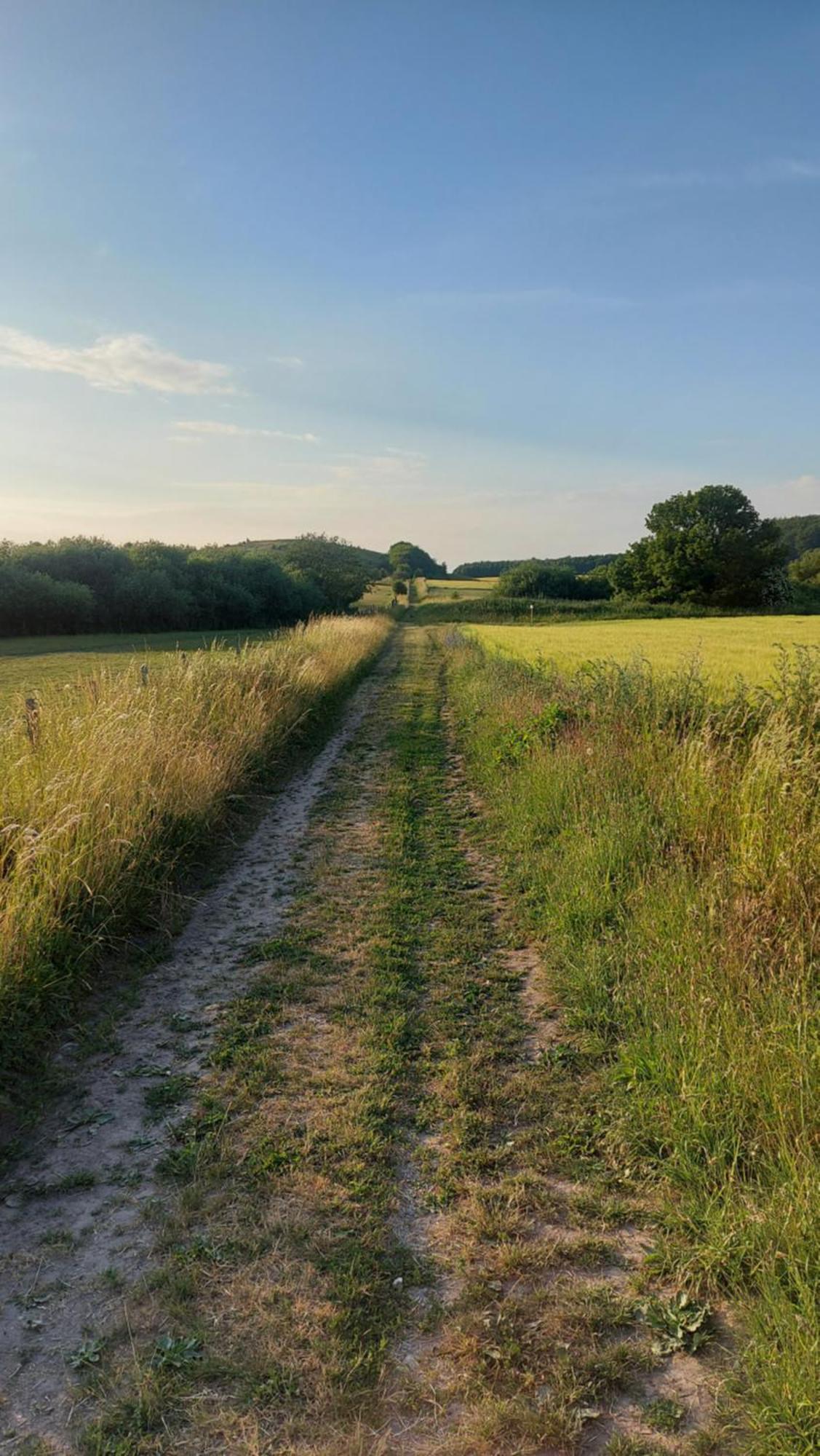 Lantligt Och Lugnt Boende Naera Natur Och Stad Svedala Exterior foto