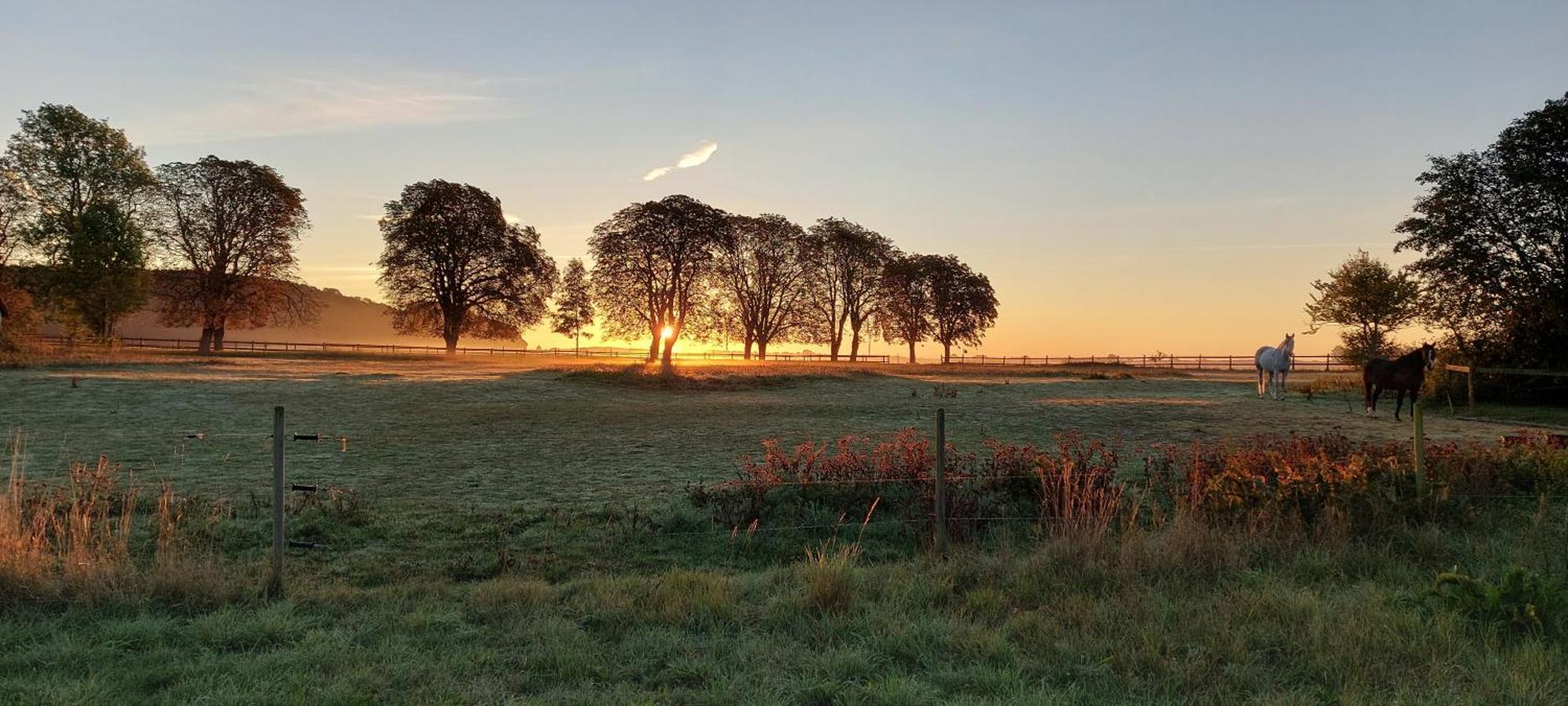 Lantligt Och Lugnt Boende Naera Natur Och Stad Svedala Exterior foto