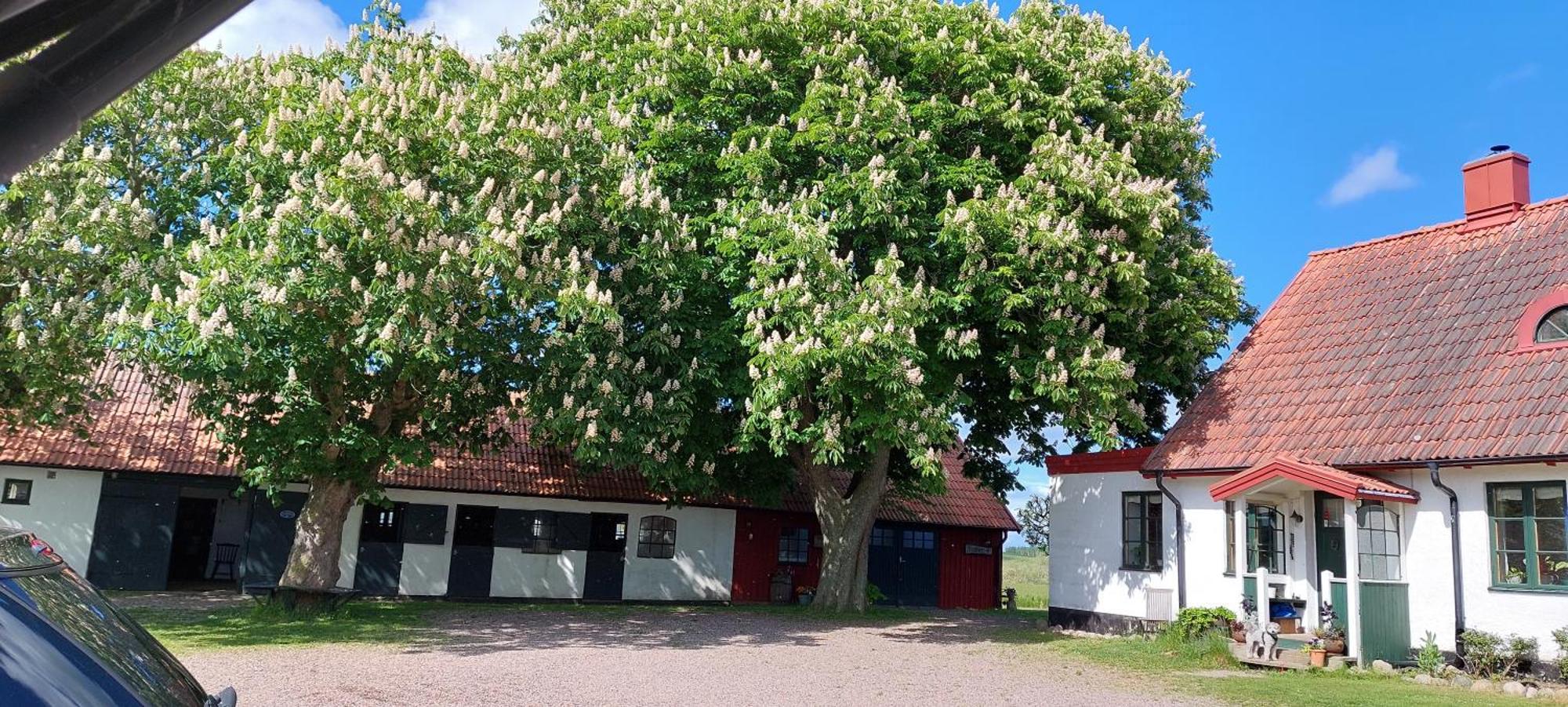 Lantligt Och Lugnt Boende Naera Natur Och Stad Svedala Exterior foto