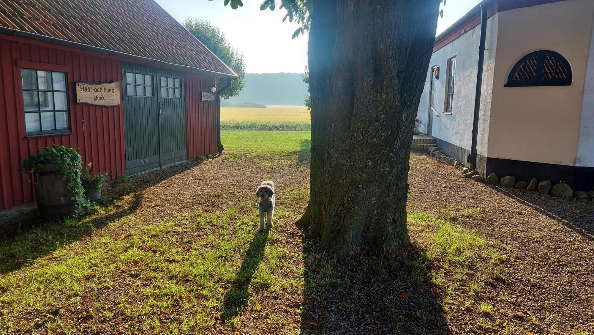 Lantligt Och Lugnt Boende Naera Natur Och Stad Svedala Exterior foto