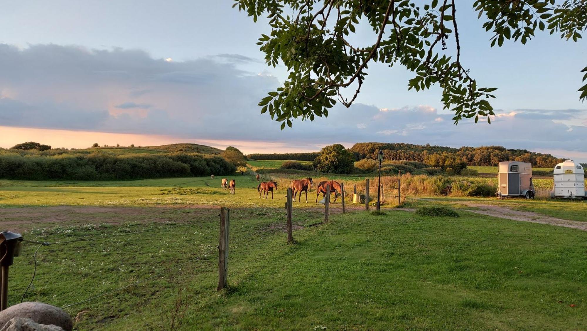 Lantligt Och Lugnt Boende Naera Natur Och Stad Svedala Exterior foto